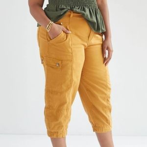 Anthropologie Brendan Utility Pants